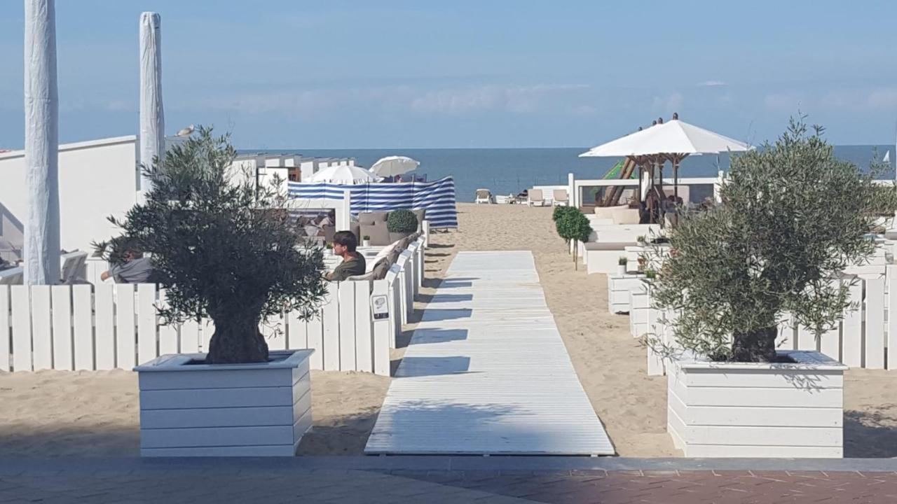 DuinbergenNieuw App Met Tuin En Terras, Gratis Parking, Aan Zee, Vlakbij Brugge公寓 外观 照片